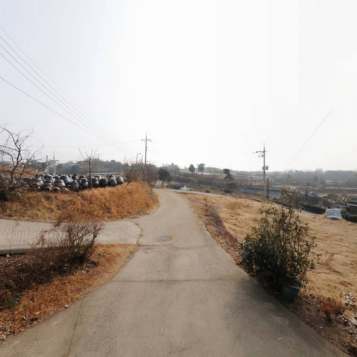 춘자식품_2
