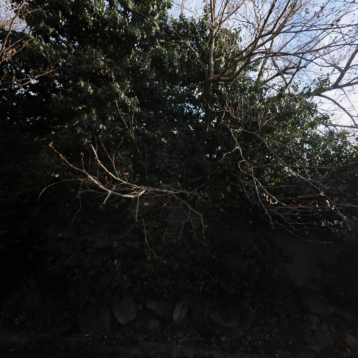 영포택시(주)_3