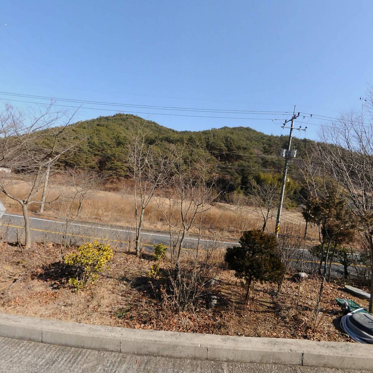 늘사랑_3