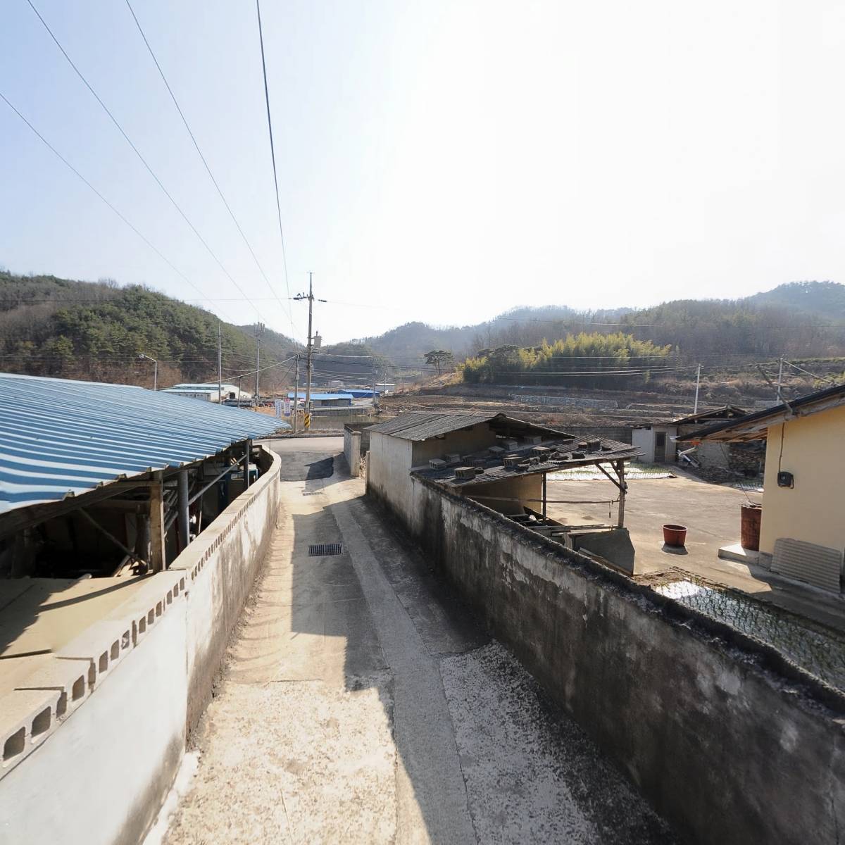 탐진안씨 상장군파 오서종친회_2