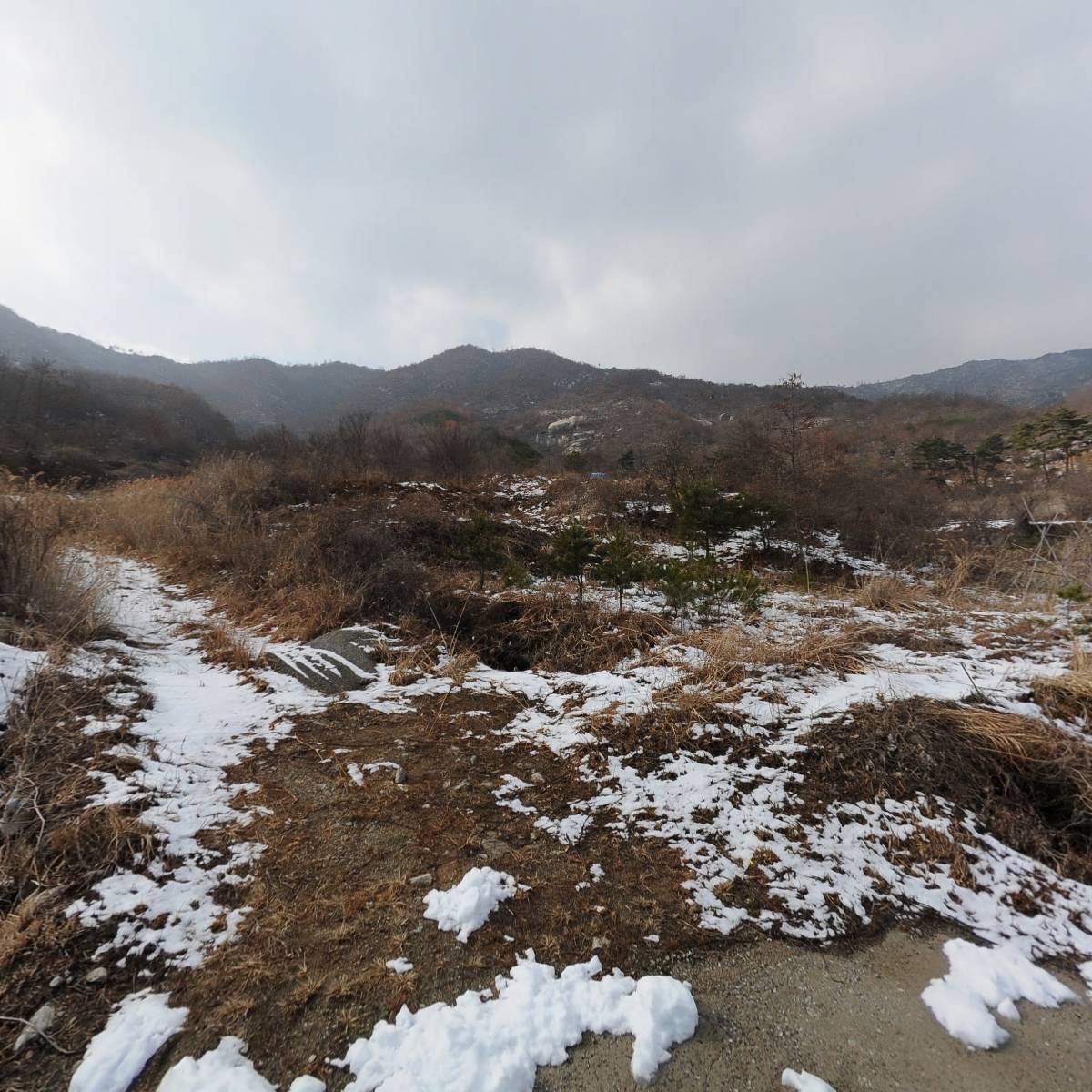 인산죽염(주)