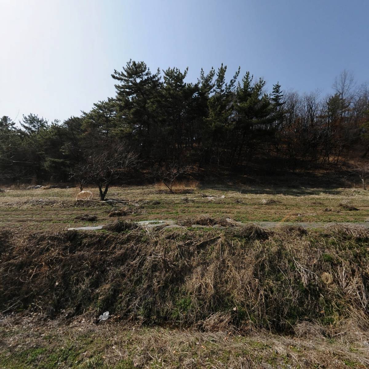 윤진에프엔에스_3