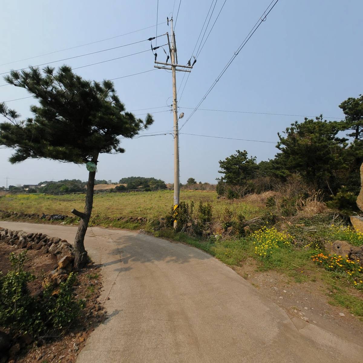 한국불교태고종 금강사_2