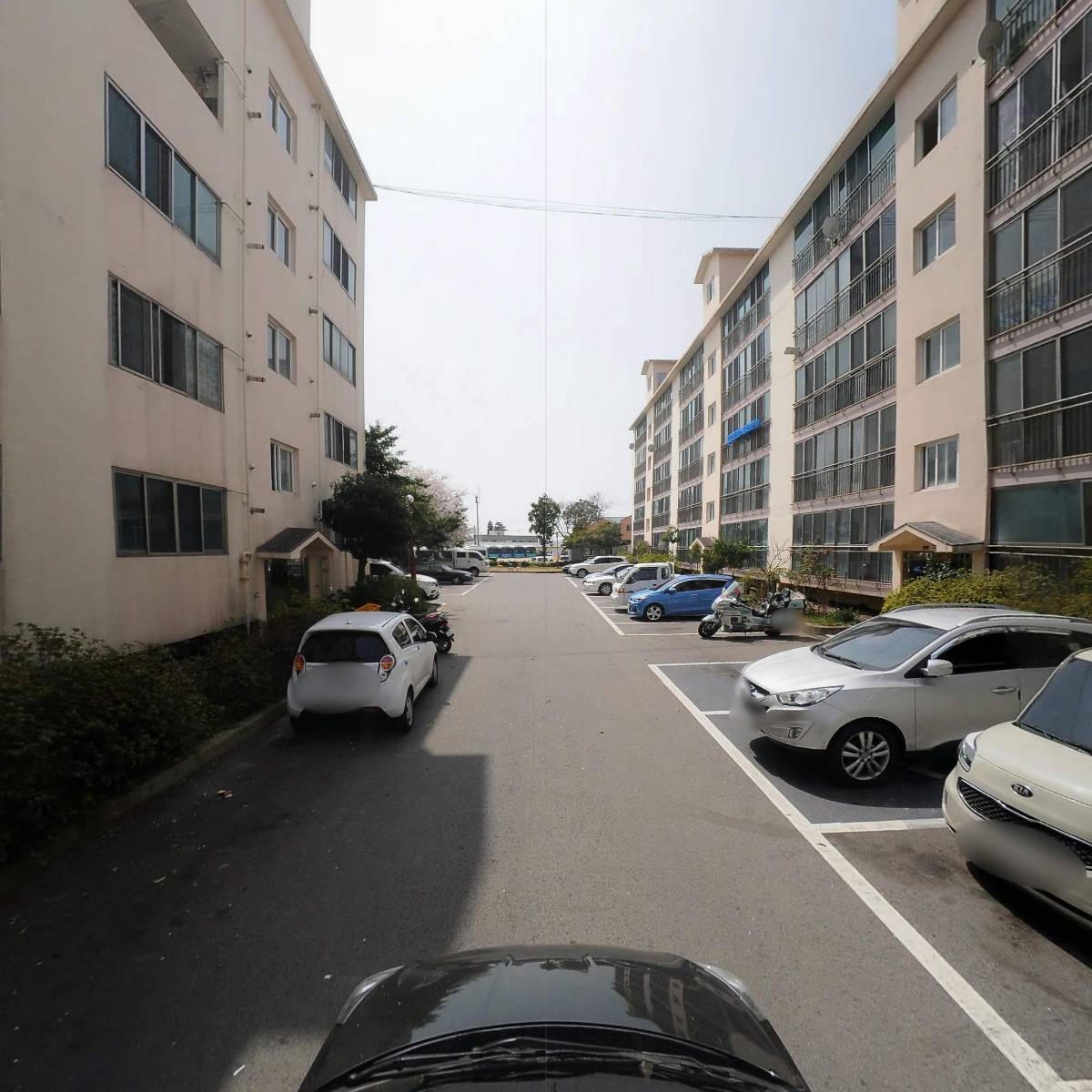 제주아토(JeJuAto)_4