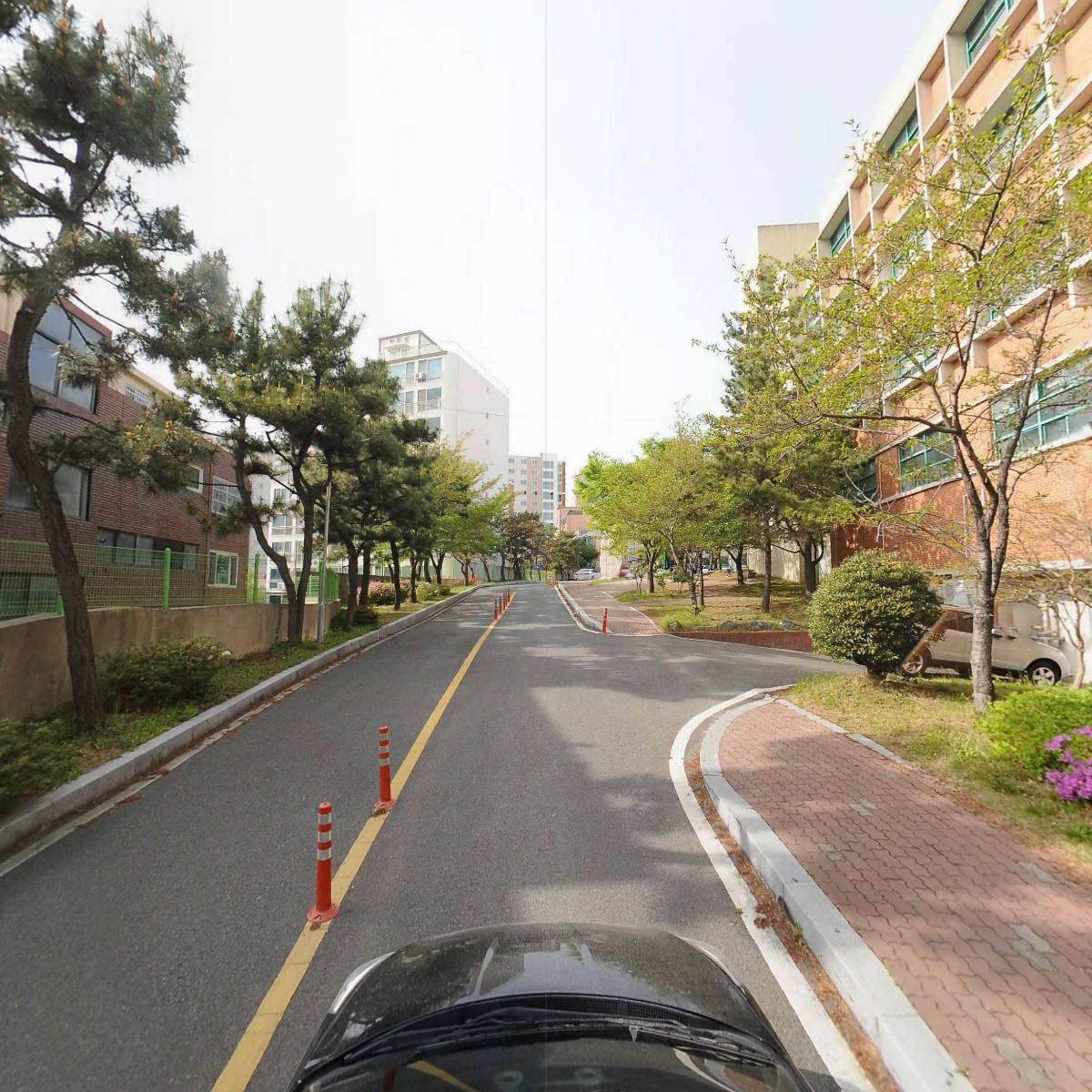 울산고등학교_4