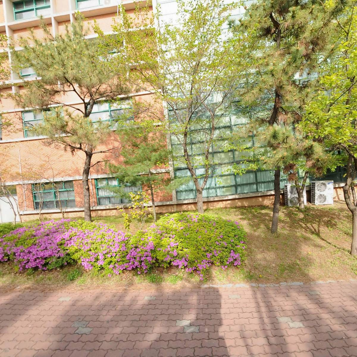 울산고등학교