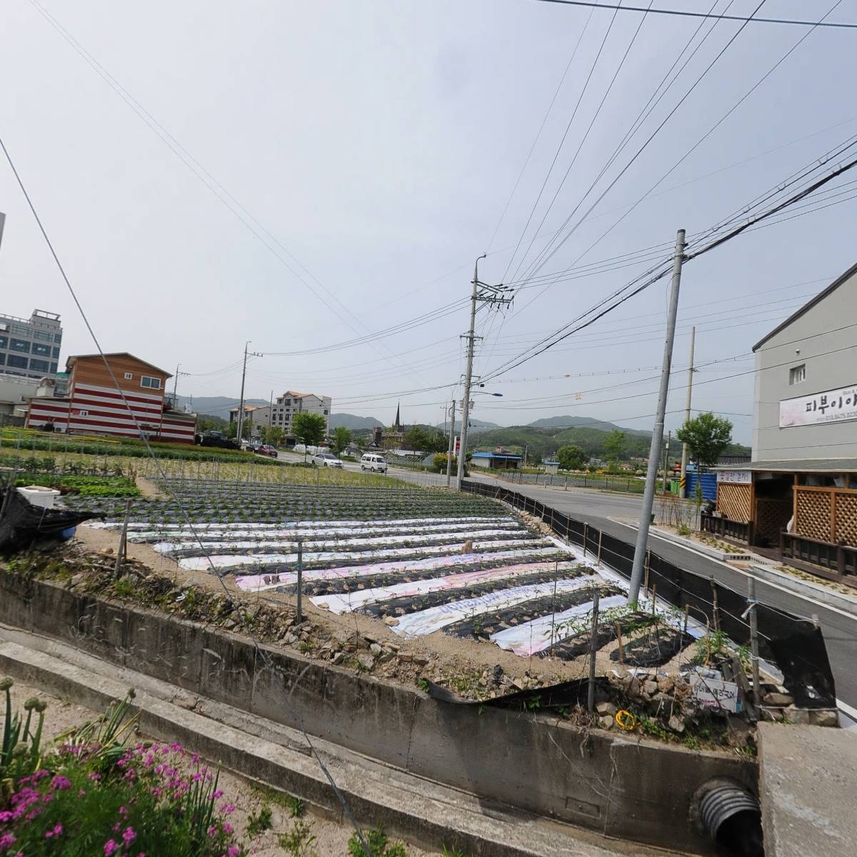 솔라에너지(주)