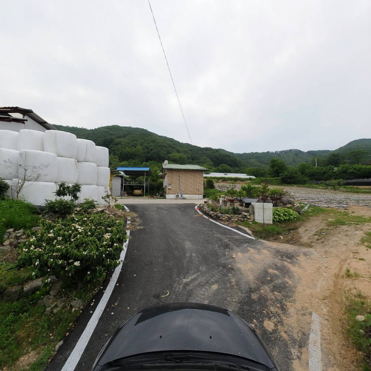 향수홍삼영농조합법인_4