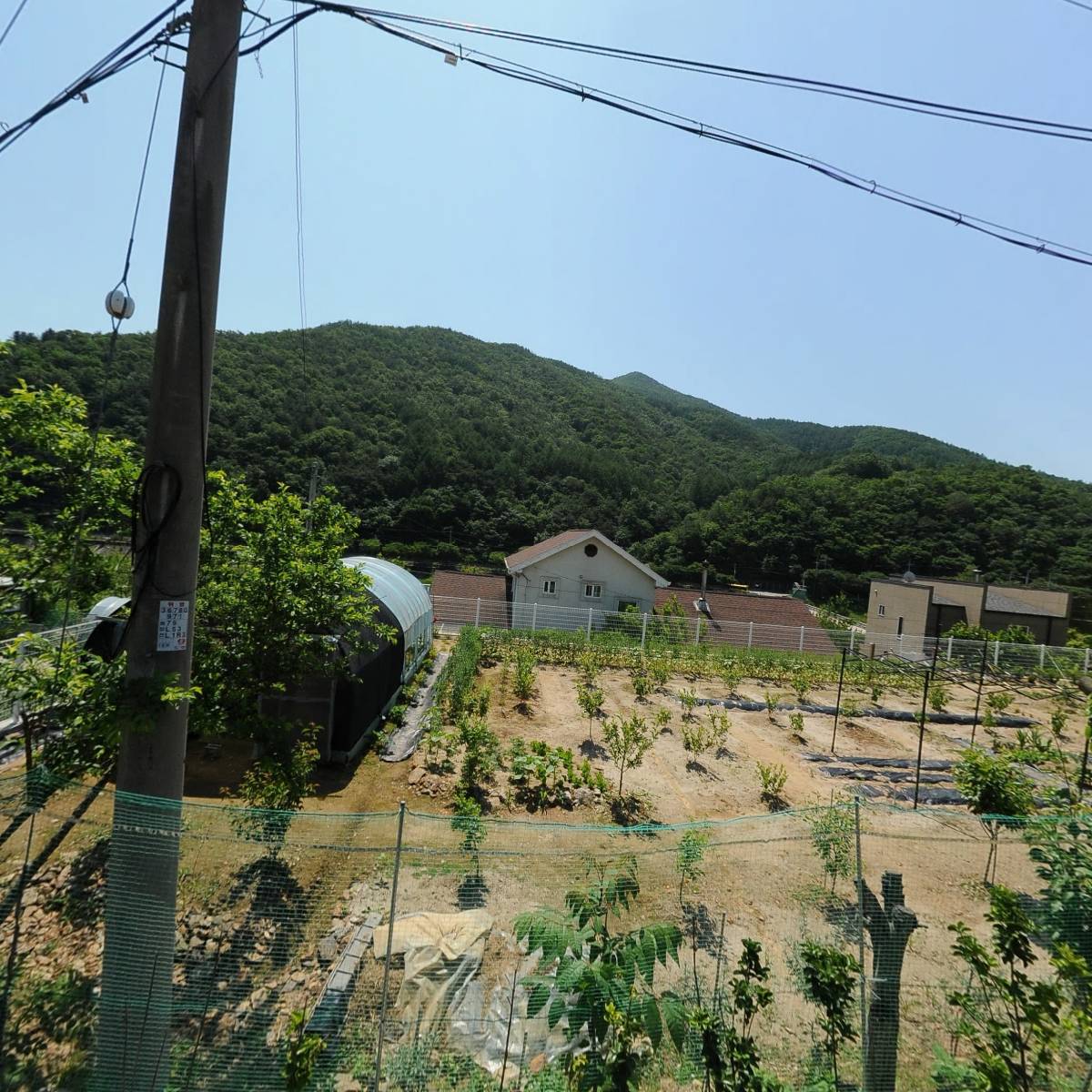 대월벌꿀농장