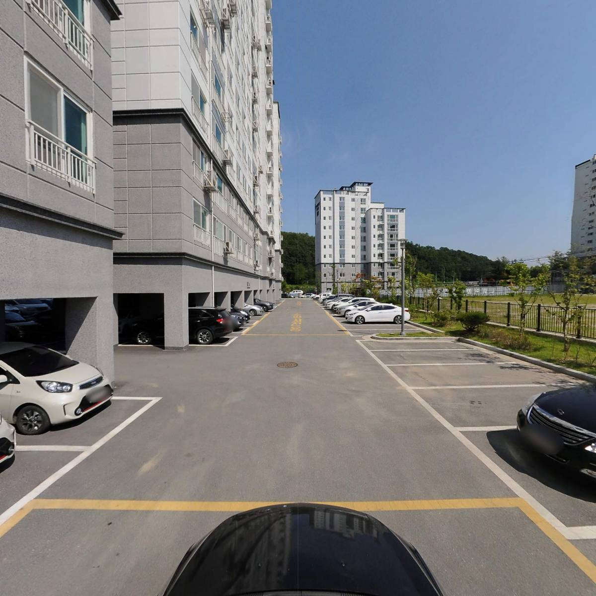 영준고추농장_4