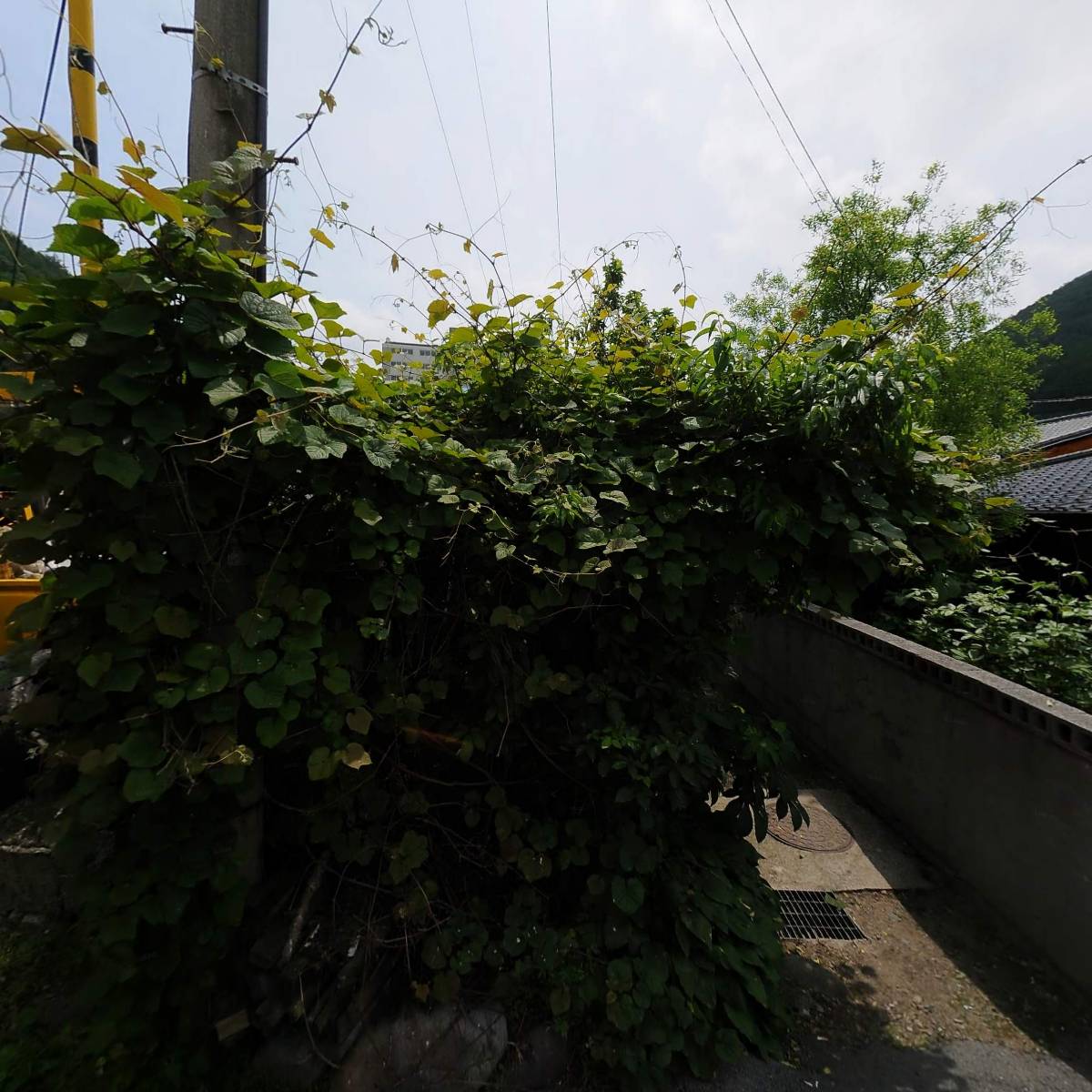 (주)세경전기