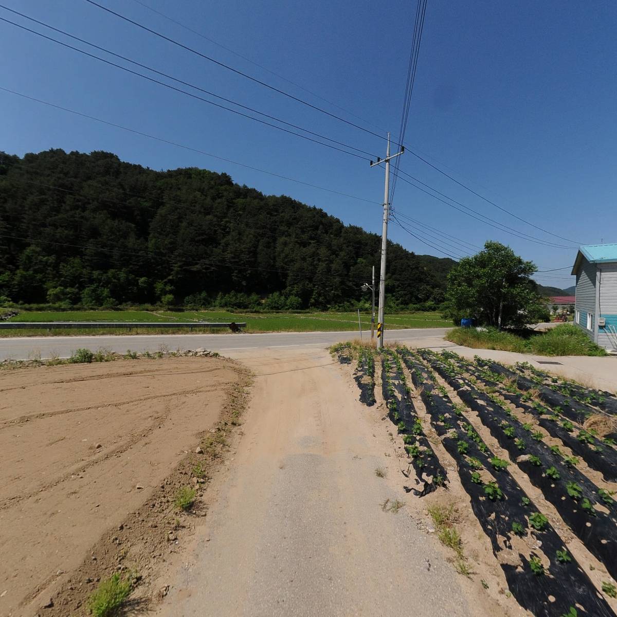점봉산원예영농조합법인_2