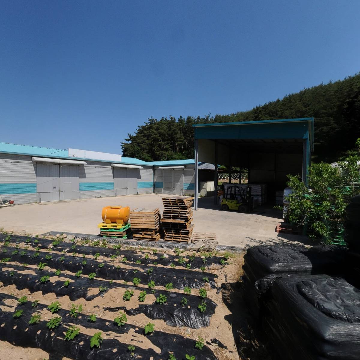 점봉산원예영농조합법인_3