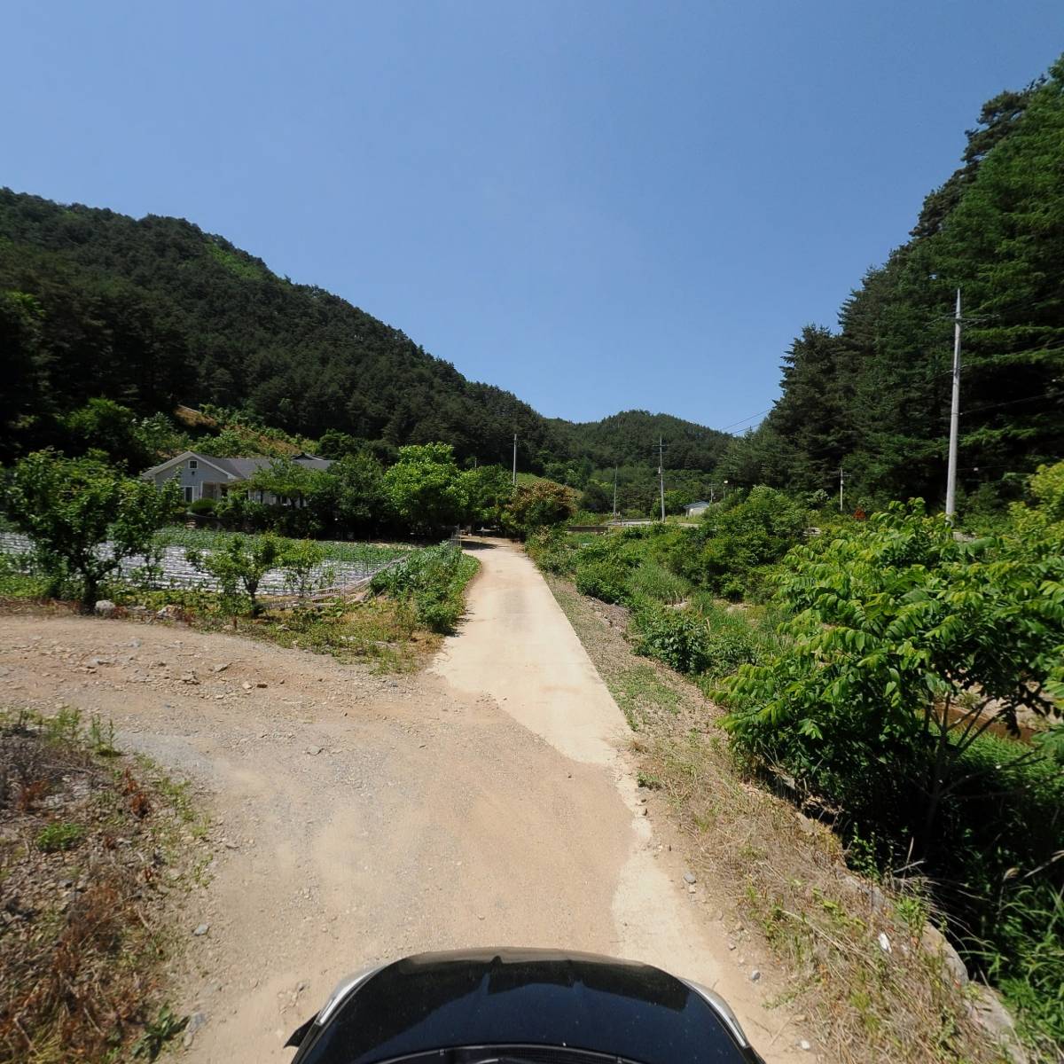 곰푸드_4