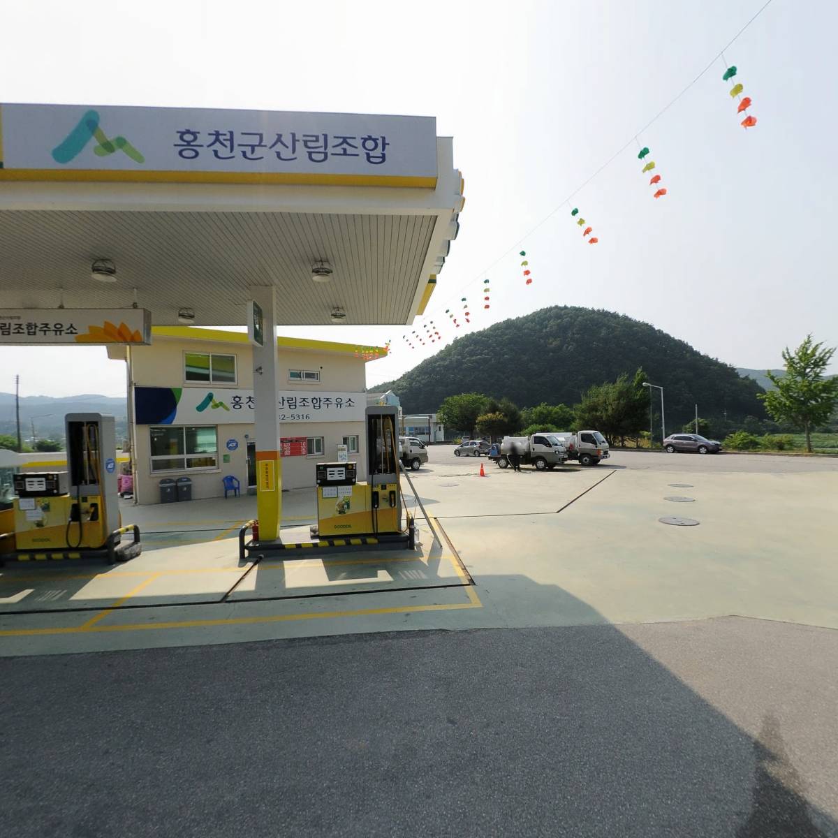 홍천군산림조합