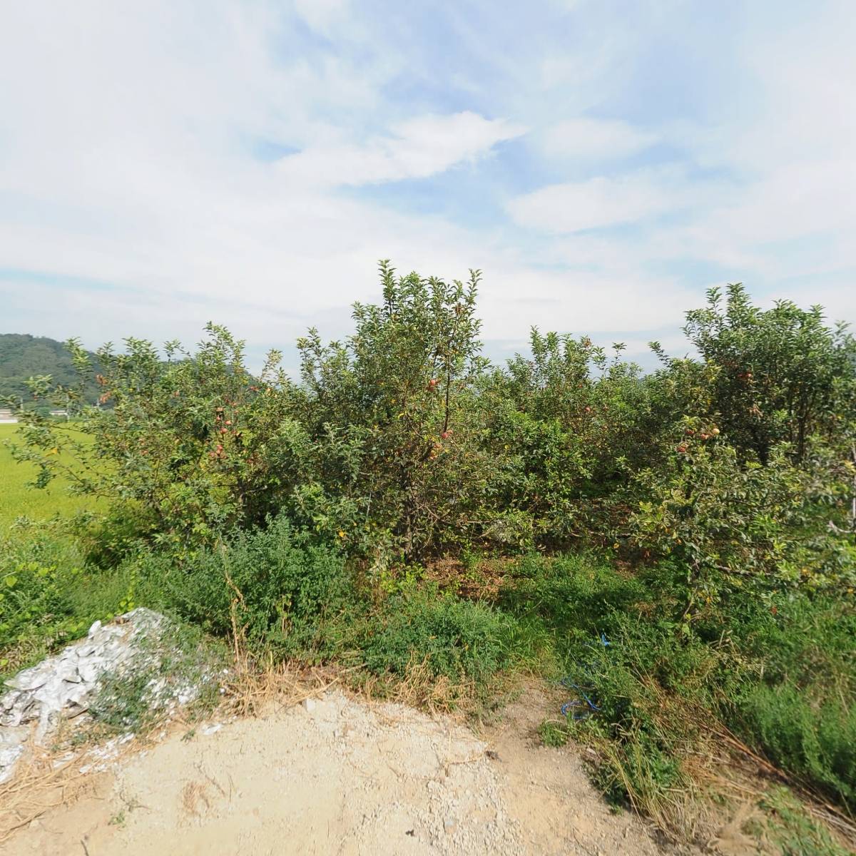 대동공업문경대리점_3