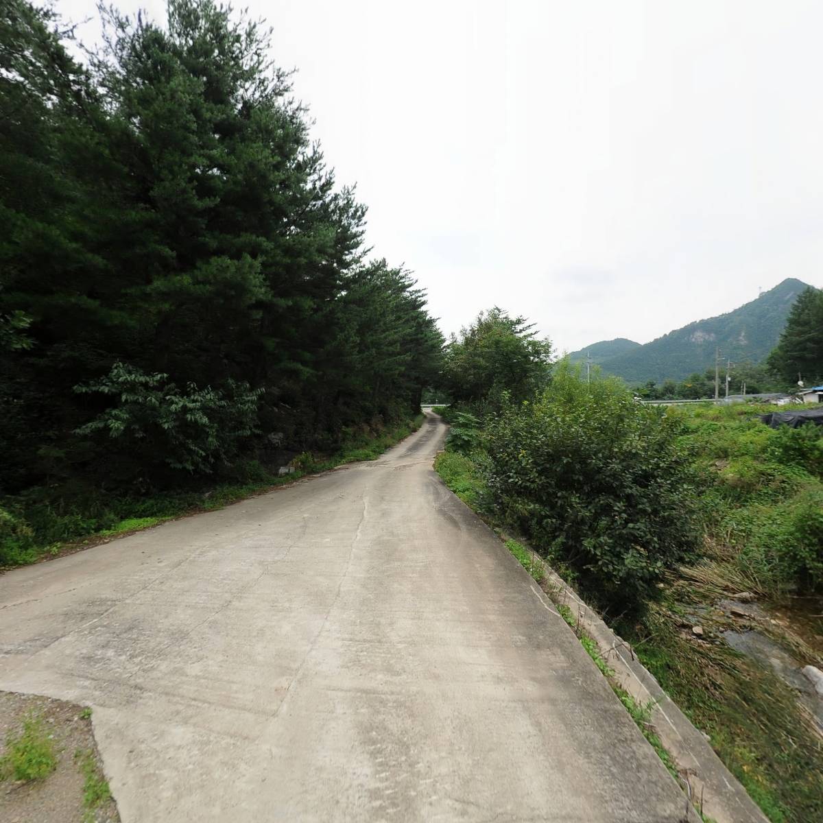 둥둥산약초_2