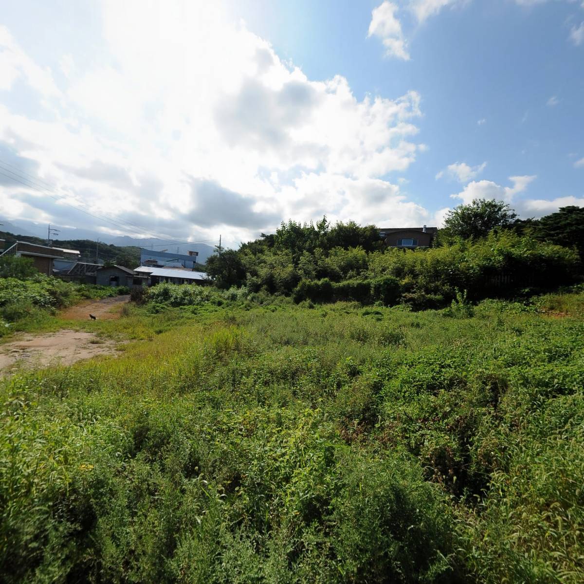 바다수산_3
