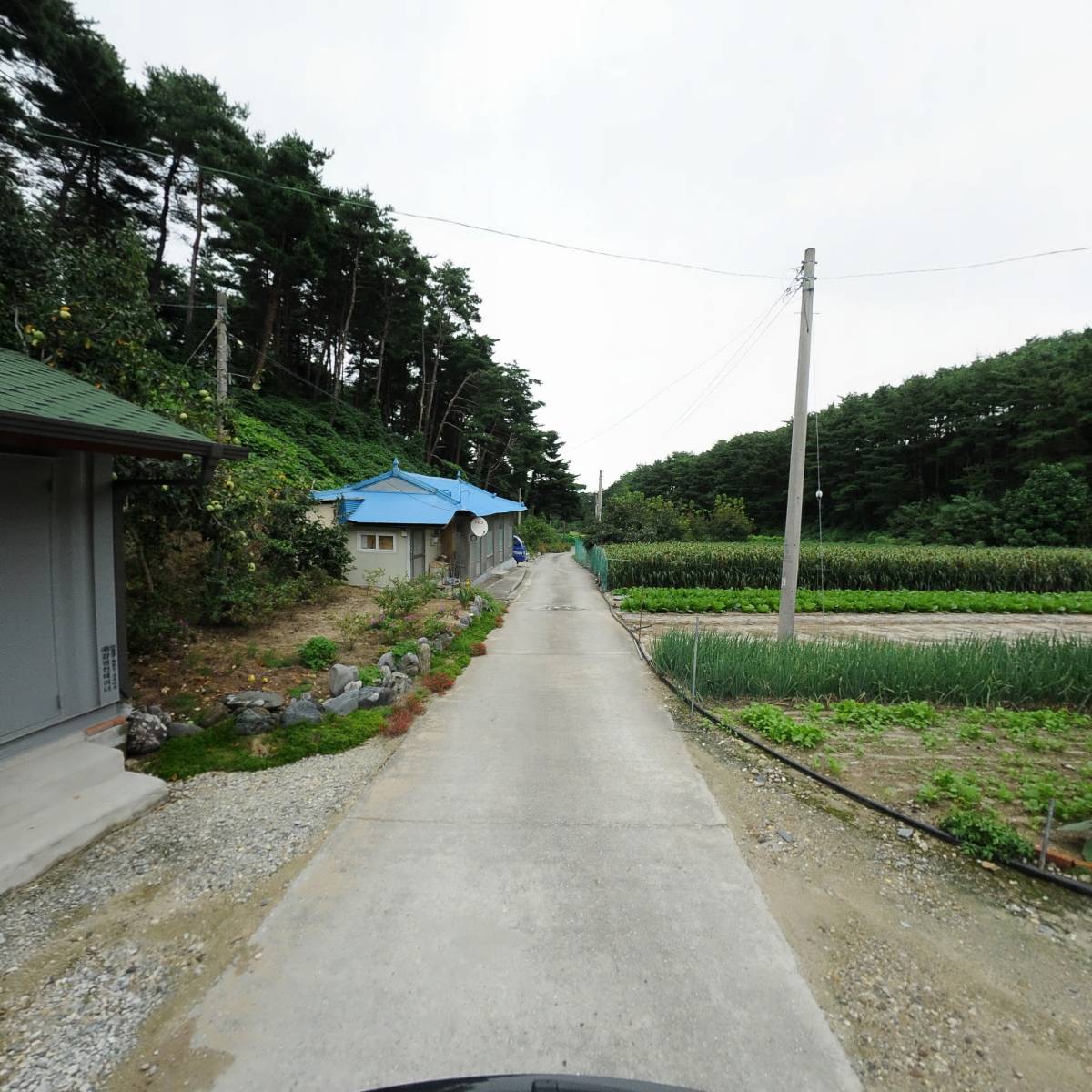 강릉영동특수렉카_2