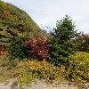 에덴농장_3