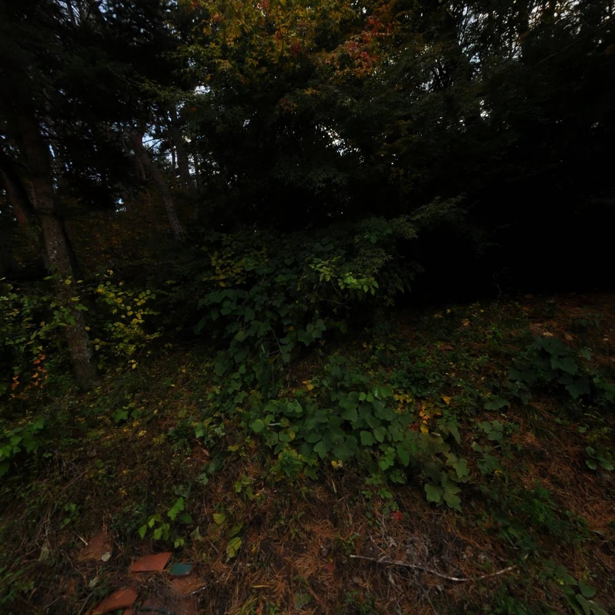 대한불교조계종숭덕사