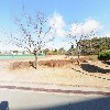 한동대학교_3