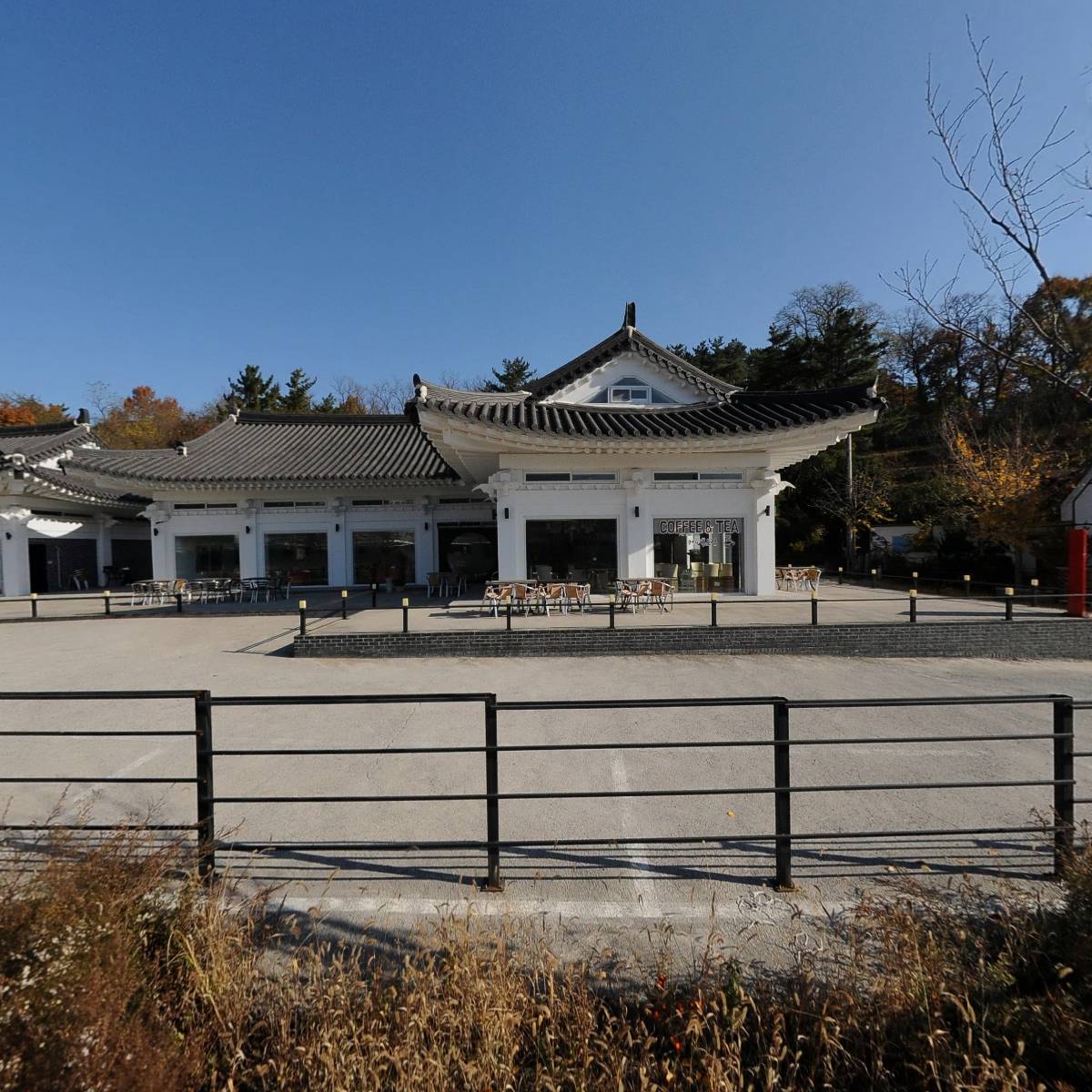 올리앤