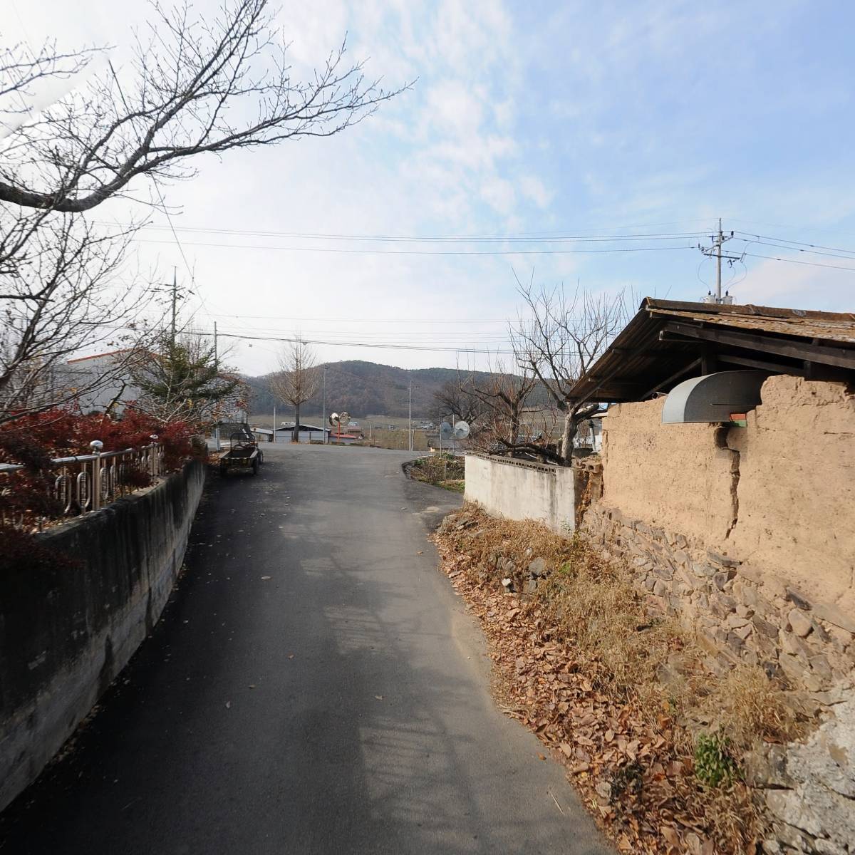 청송사과직거래장터_2