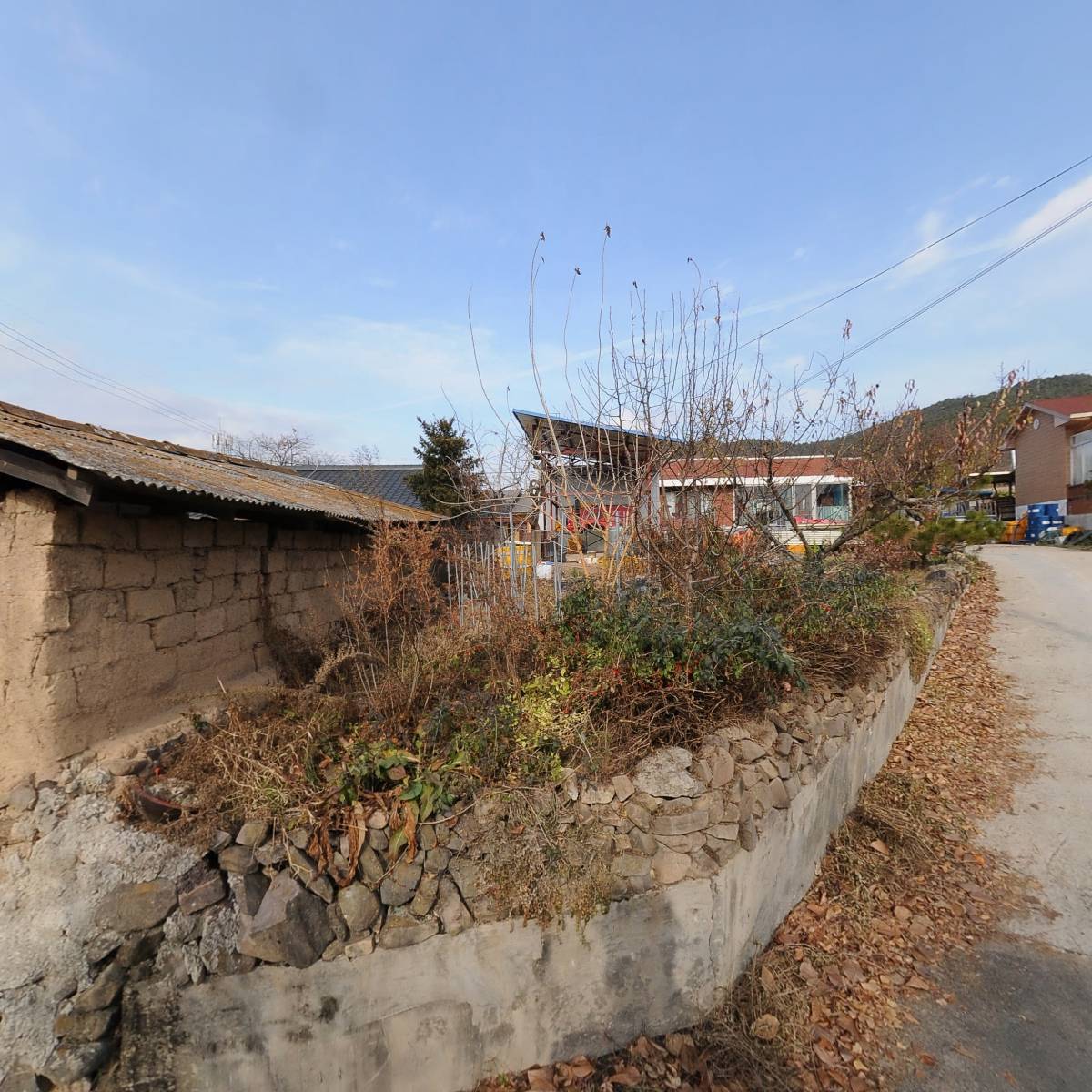 청송사과직거래장터_3