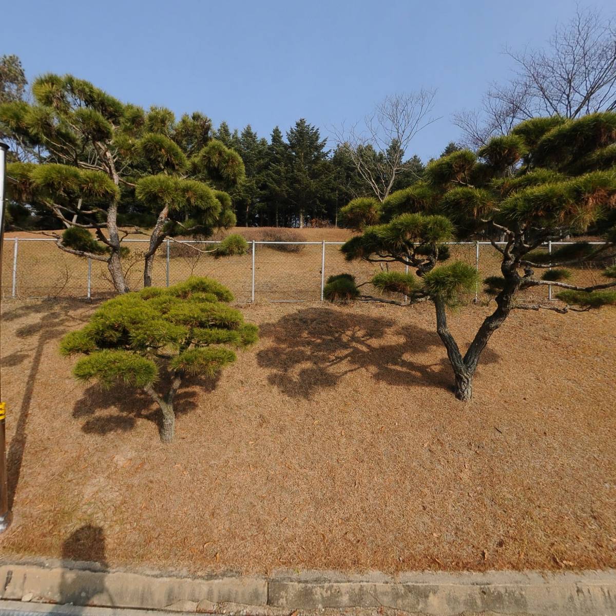 한국교원대학교 유아교육원