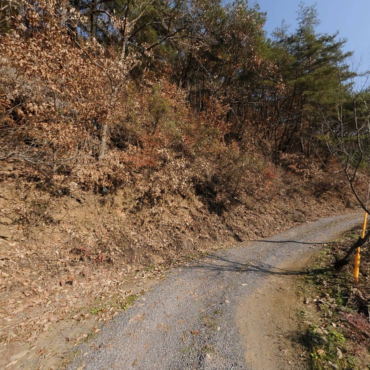 한국오소리농장_2