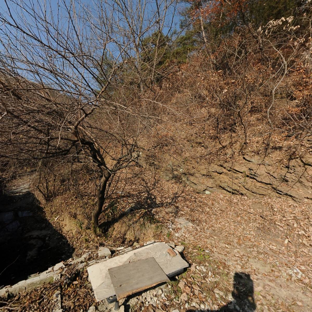 한국오소리농장