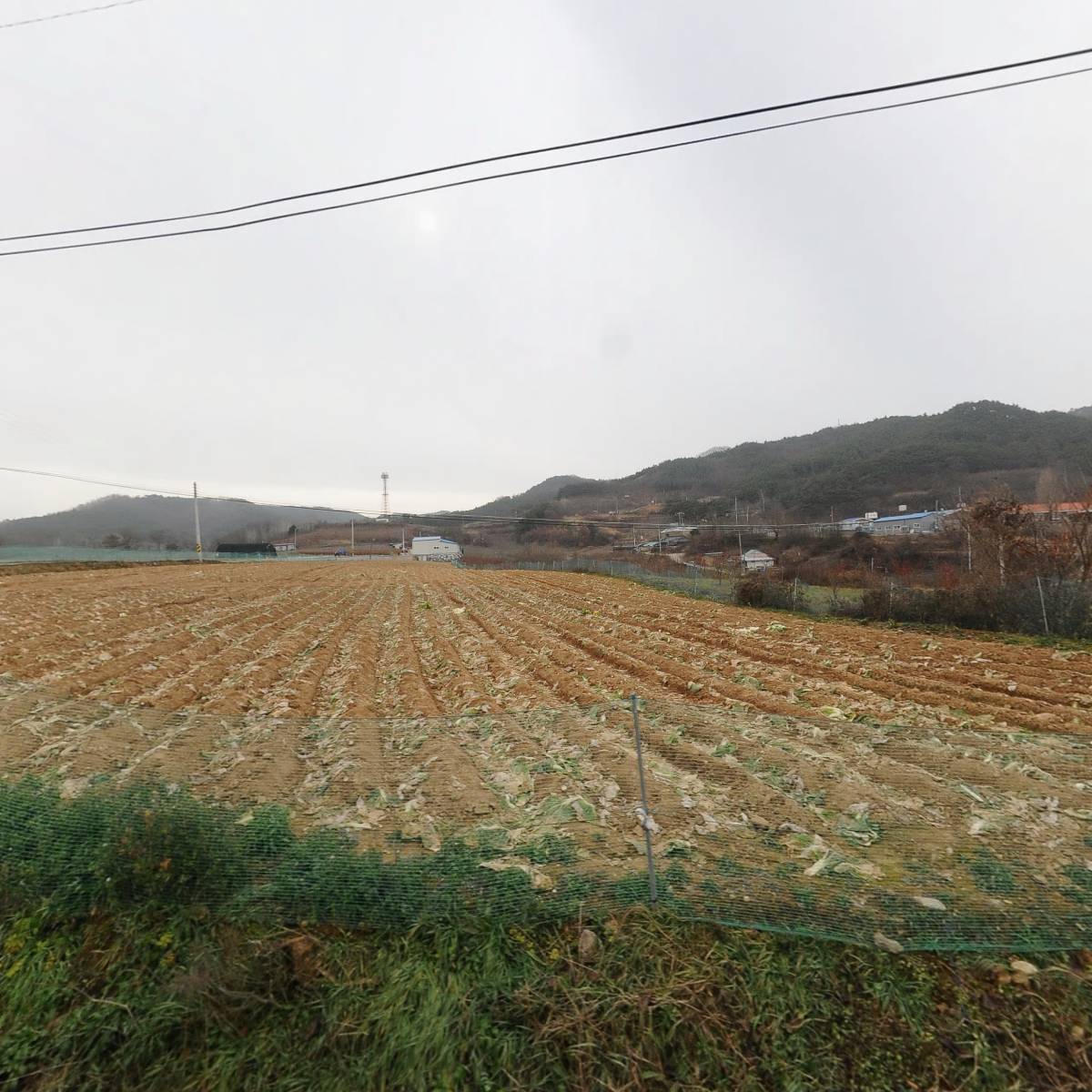 베데스다
