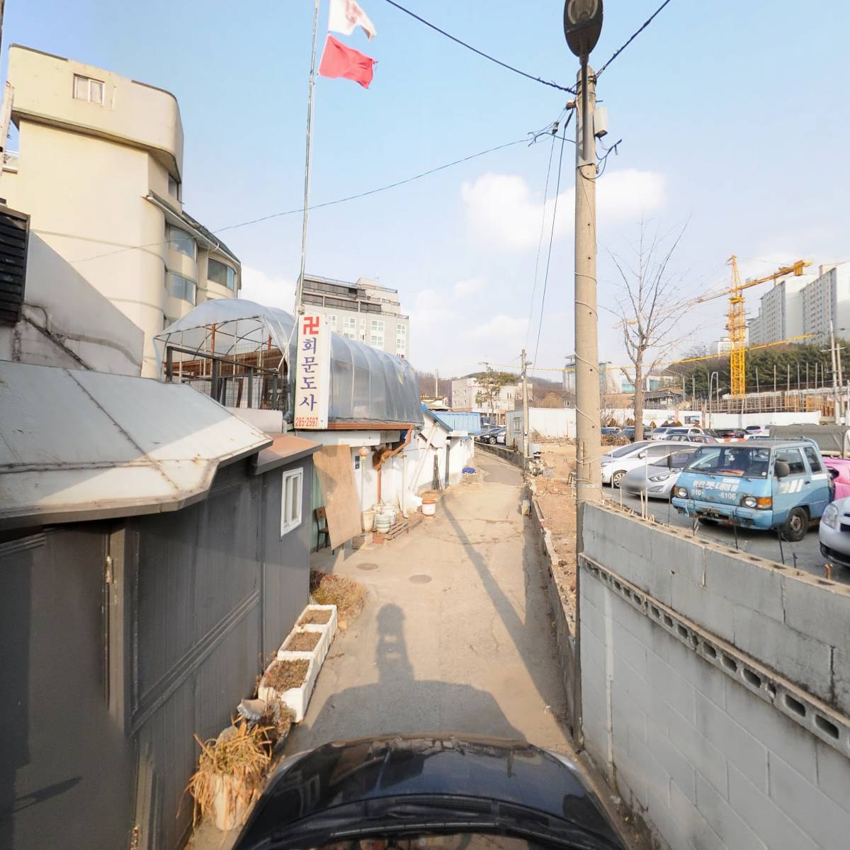 신박사 콩사랑_4