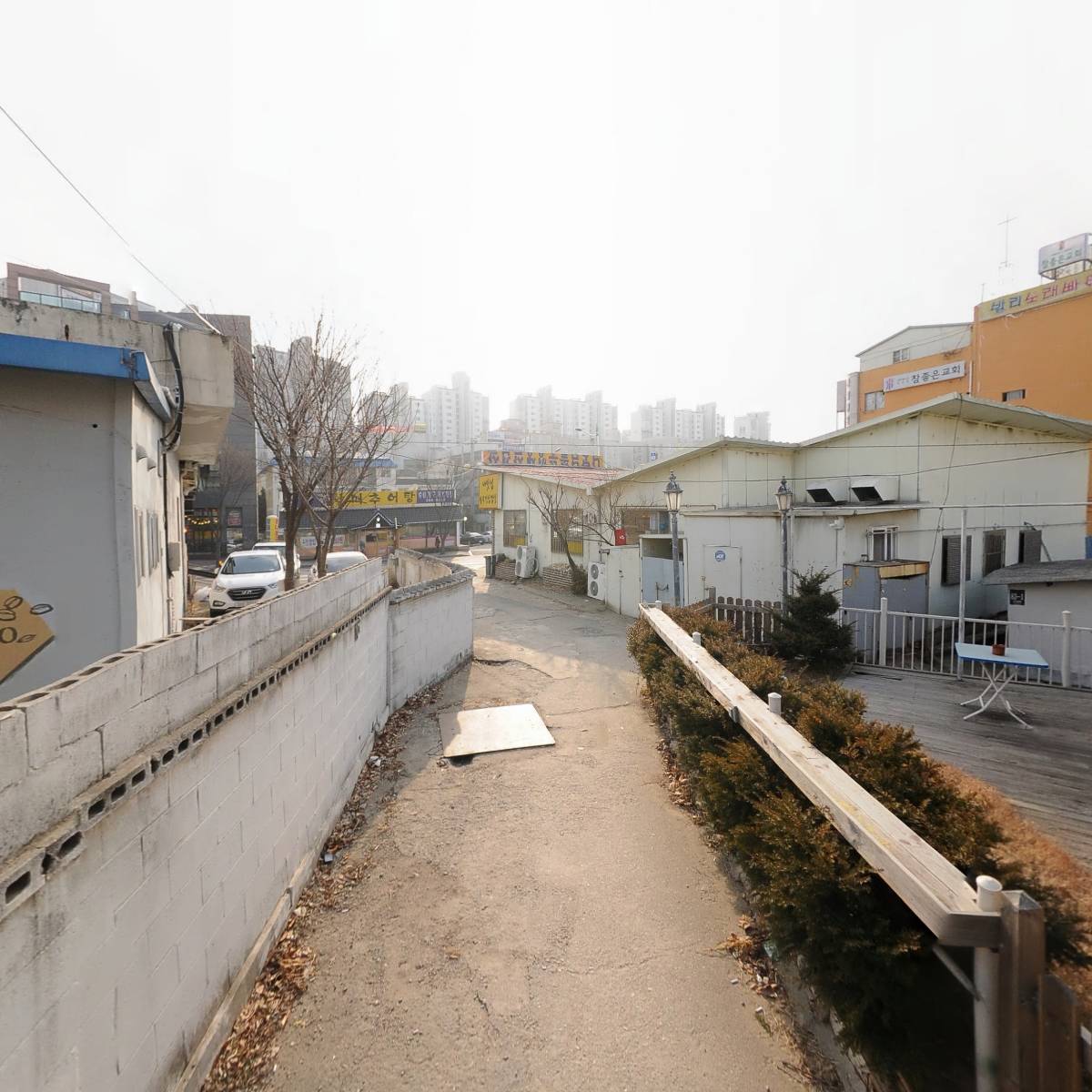 신박사 콩사랑_2