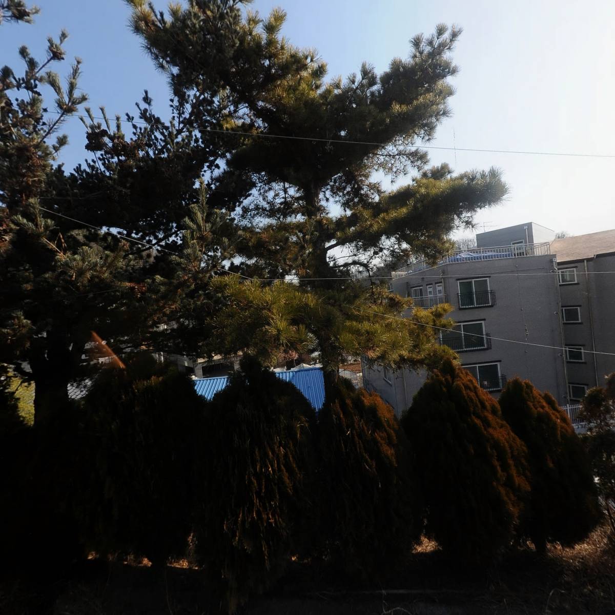 조이카 광택세차