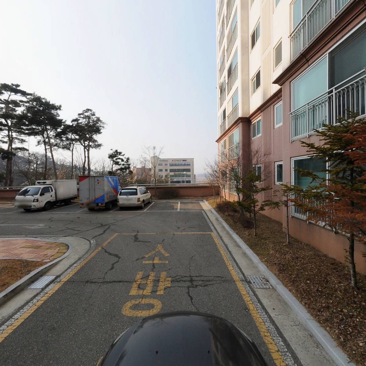 비더샵_4