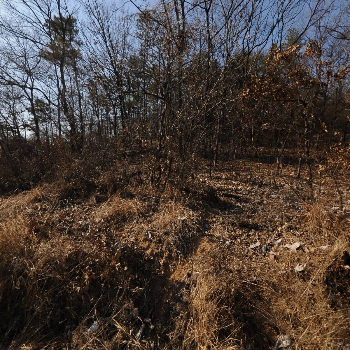 (주)자연과에너지_3