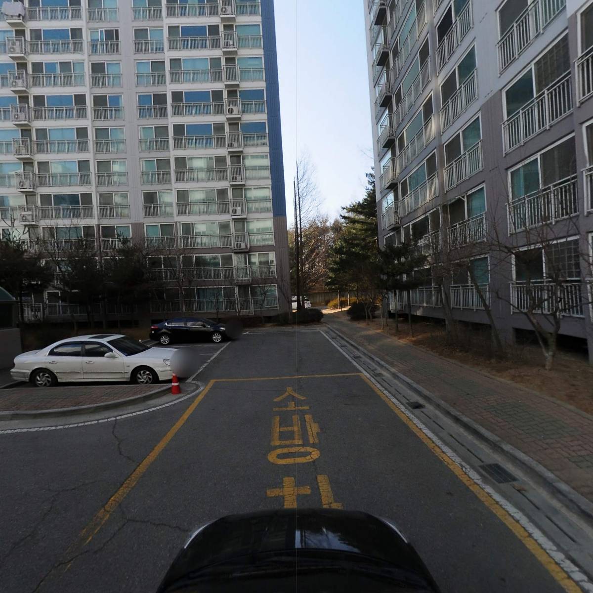 명성대한대리_4
