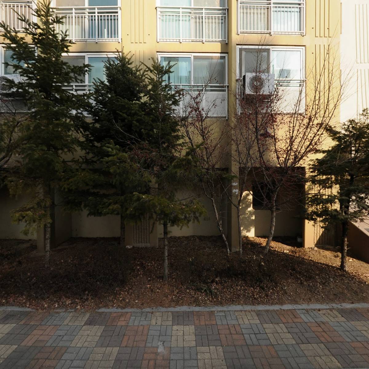 시립늘품 어린이집_3