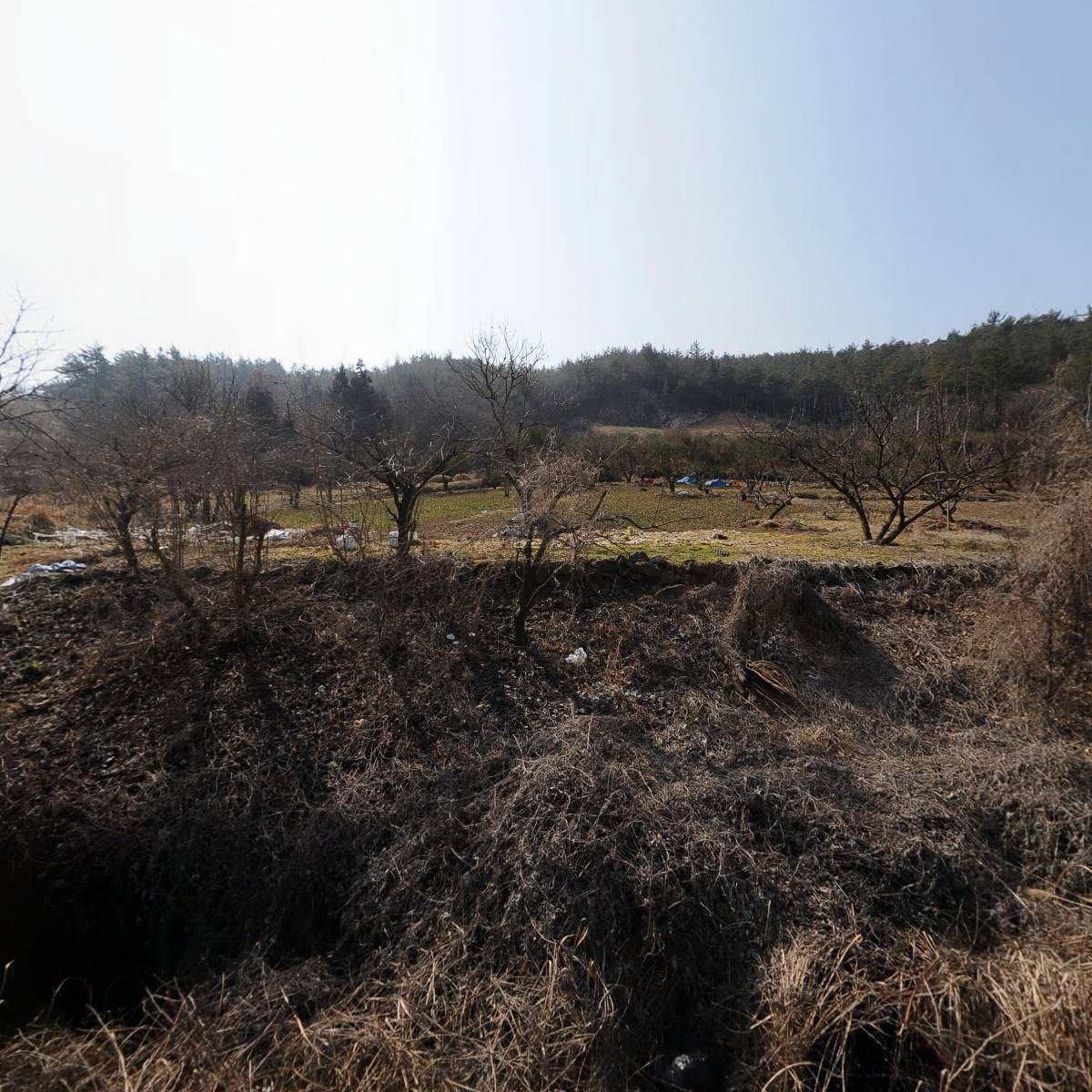 고흥군친환경하나봉연구회영농조합법인