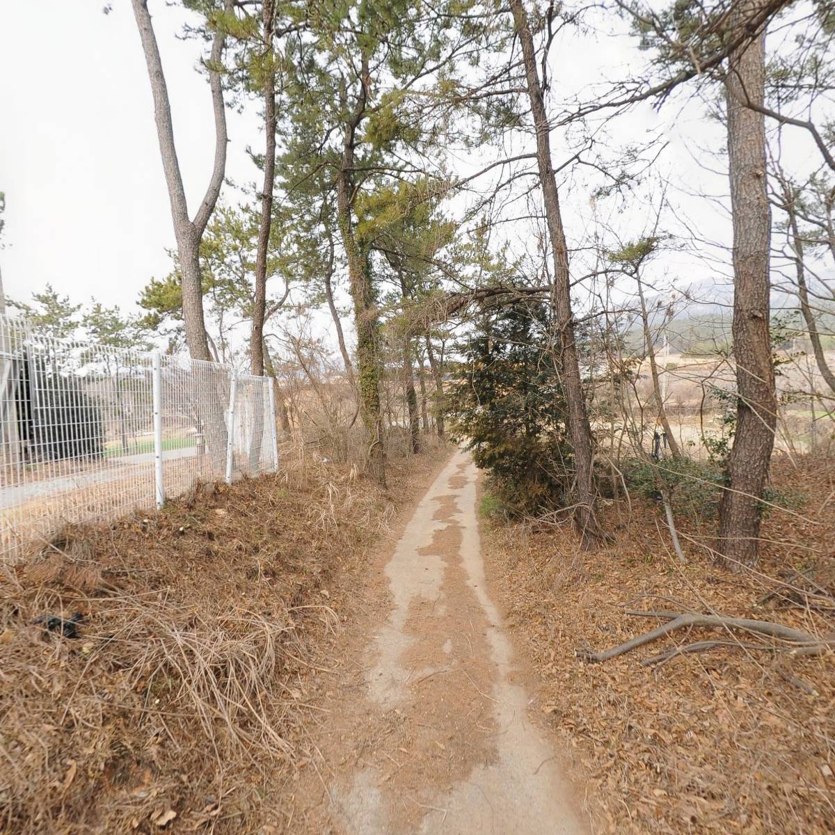 농업회사법인(주)한국파비_2
