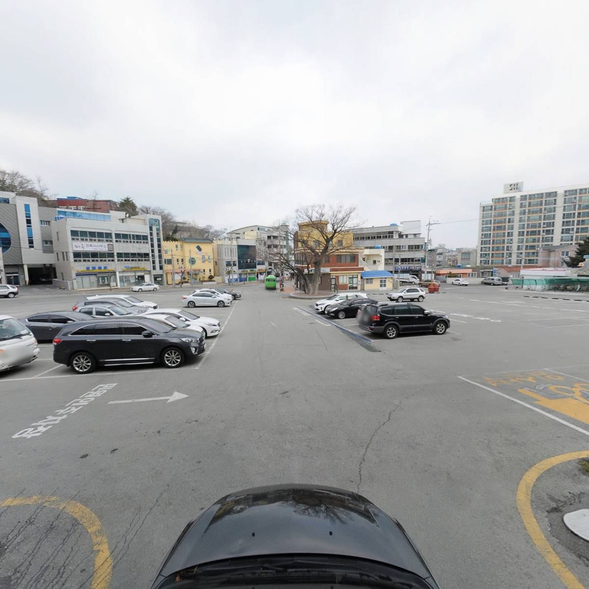 재단법인완도해조류박람회조직위원회_4