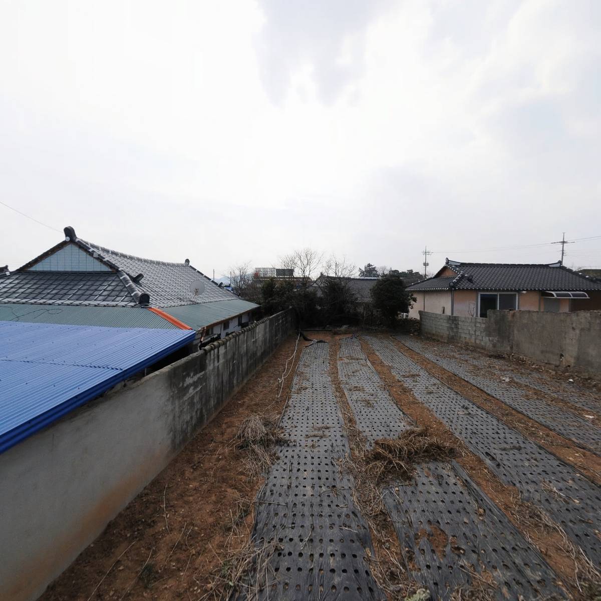 희망수산