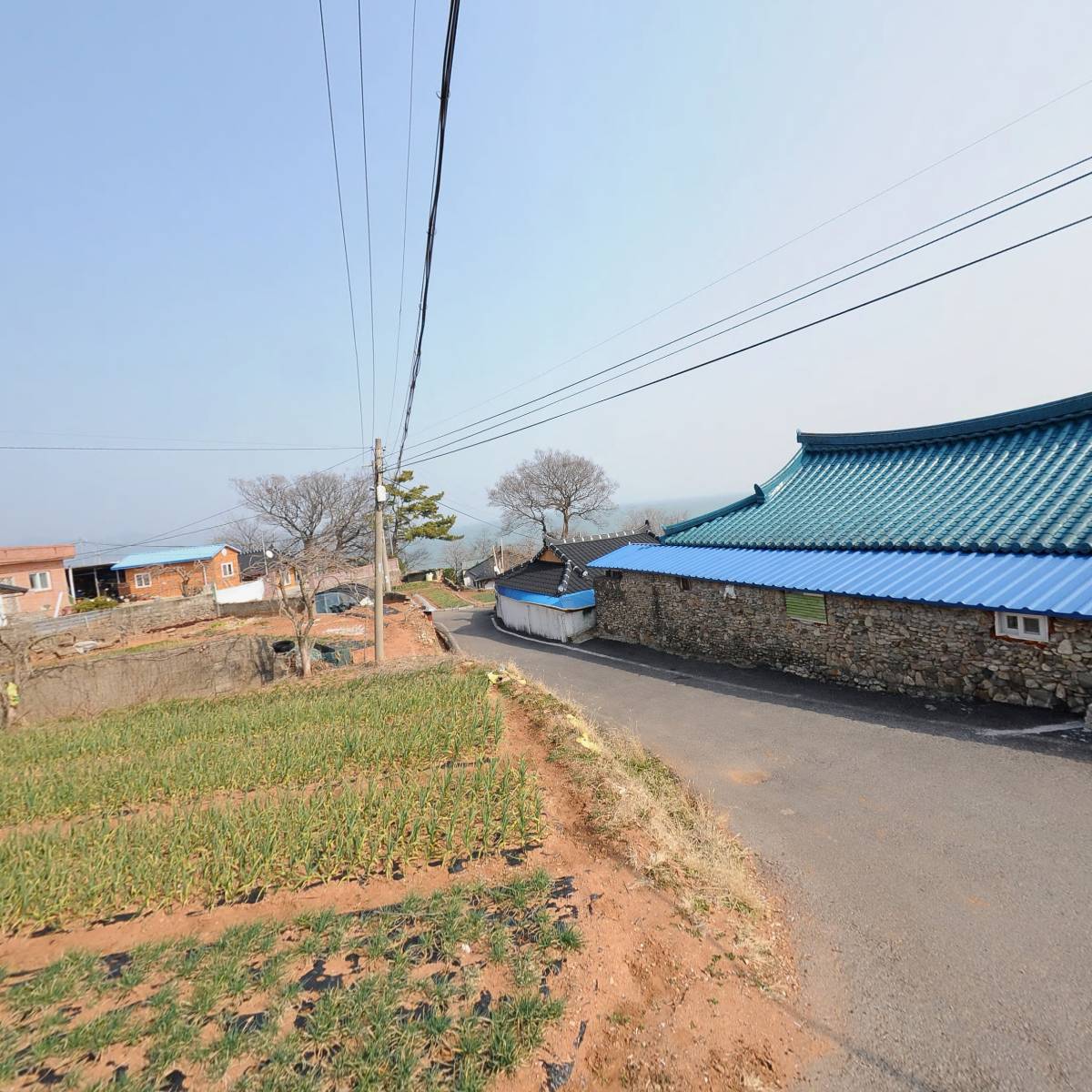 샌드백 주식회사