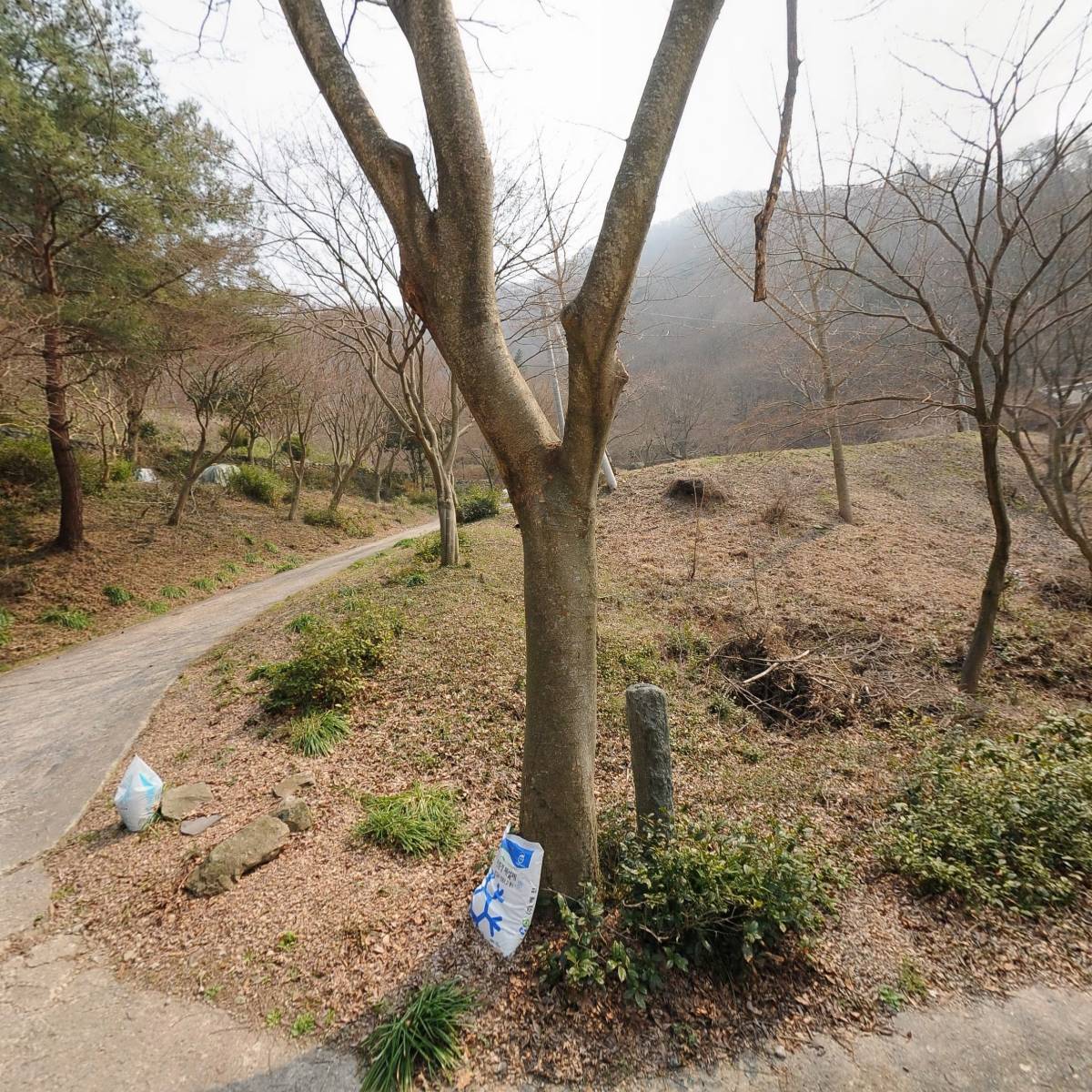 대한불교조계종 문성암
