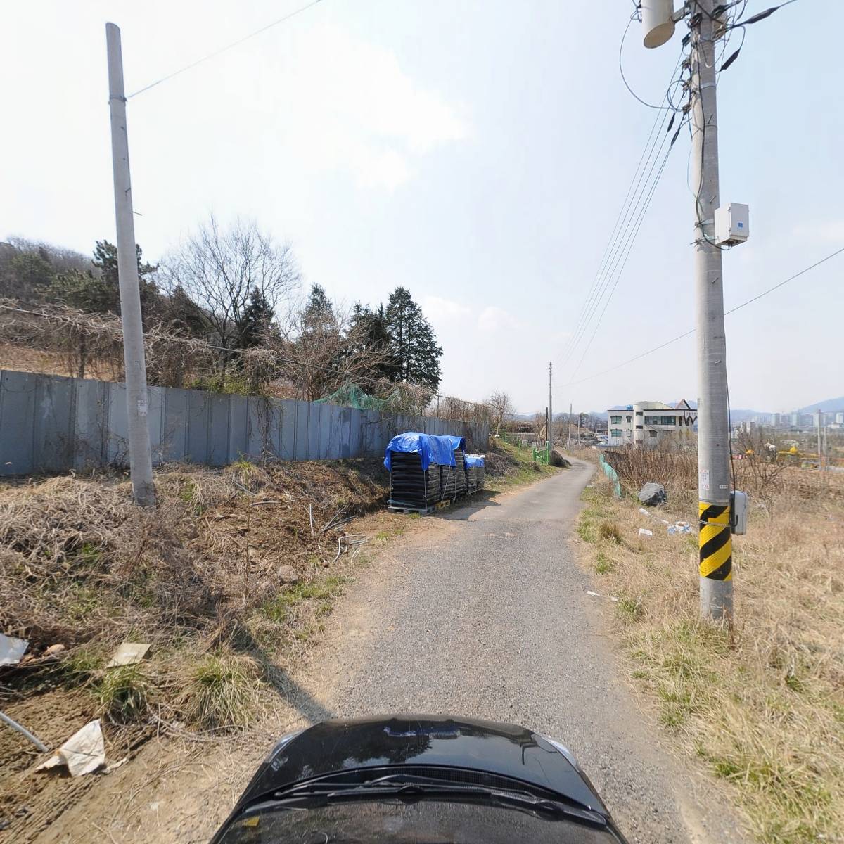 달빛갈치_4