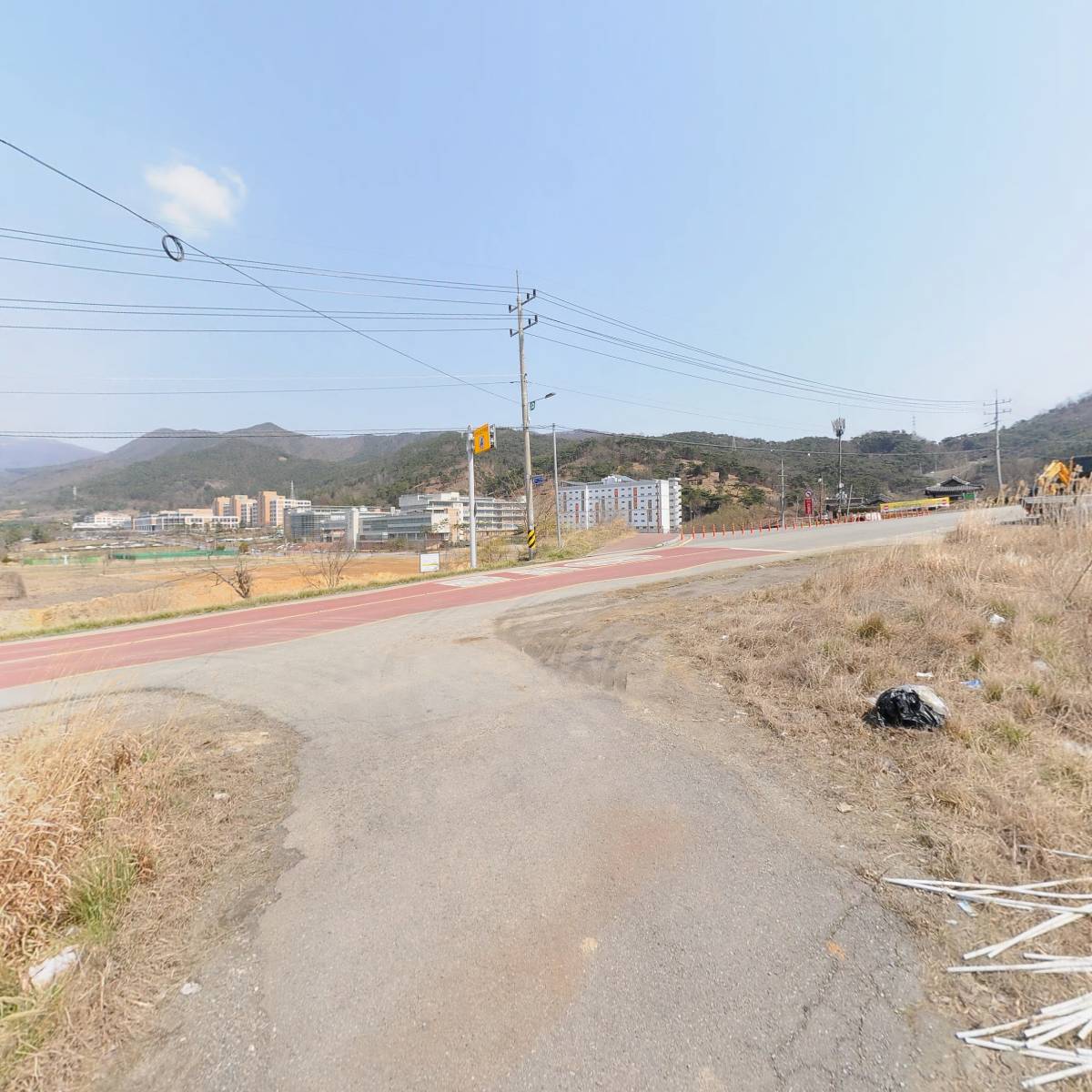 달빛갈치_2