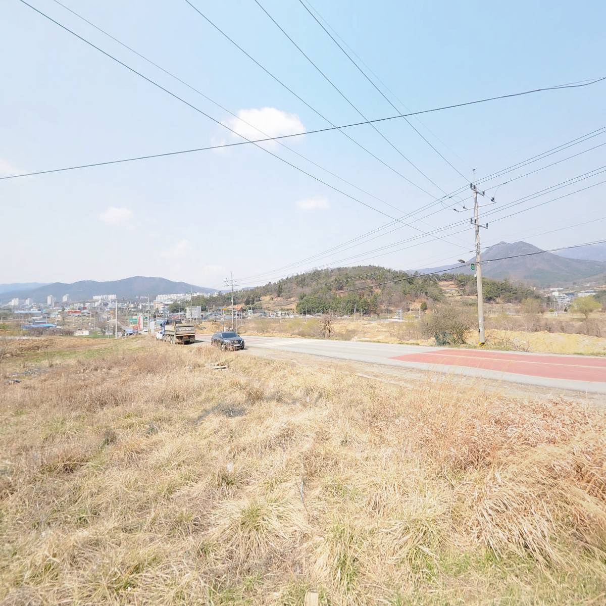 달빛갈치
