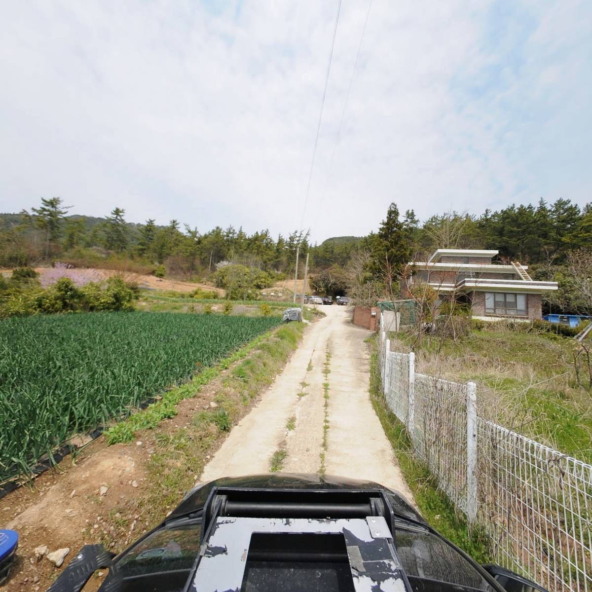 햄프(HAMP)_4